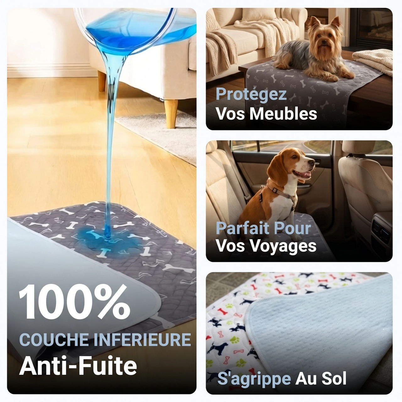 PupDry — Le Dernier Tapis de Propreté Dont Vous Aurez Besoin